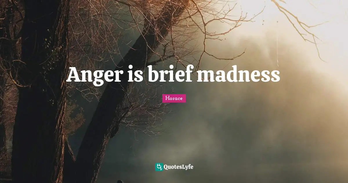 Anger is brief madness