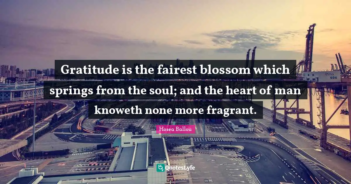 Gratitude is the fairest blossom which springs from the soul; and the heart of man knoweth none more fragrant.