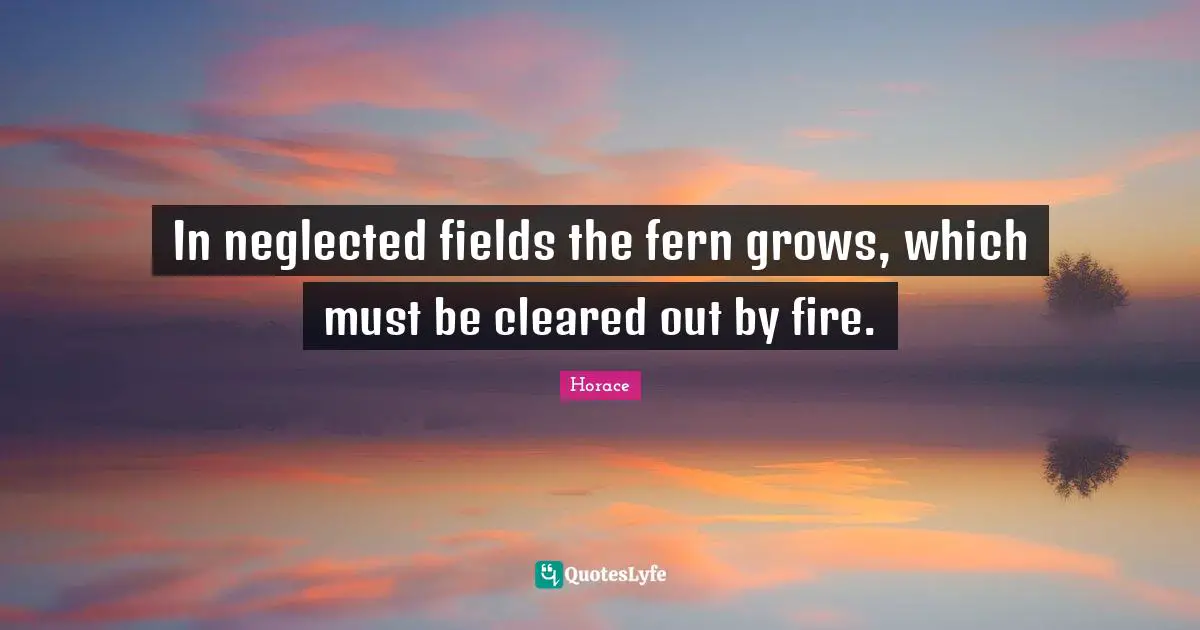 In neglected fields the fern grows, which must be cleared out by fire.