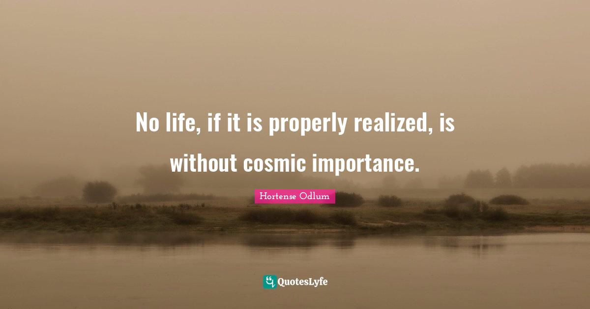 No life, if it is properly realized, is without cosmic importance.