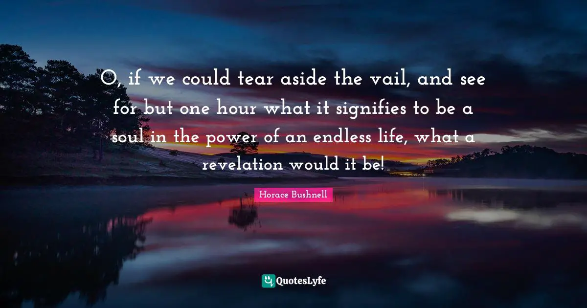 O, if we could tear aside the vail, and see for but one hour what it signifies to be a soul in the power of an endless life, what a revelation would it be!