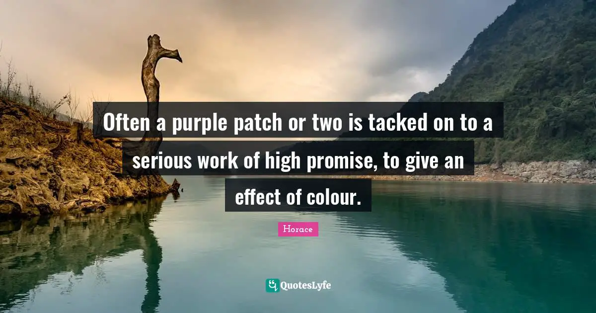 Often a purple patch or two is tacked on to a serious work of high promise, to give an effect of colour.