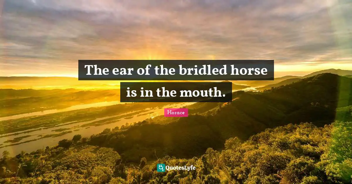 The ear of the bridled horse is in the mouth.