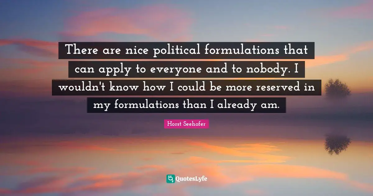 There are nice political formulations that can apply to everyone and to nobody. I wouldn't know how I could be more reserved in my formulations than I already am.