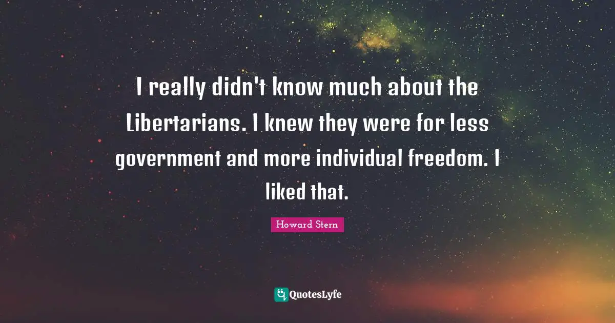 I really didn't know much about the Libertarians. I knew they were for less government and more individual freedom. I liked that.
