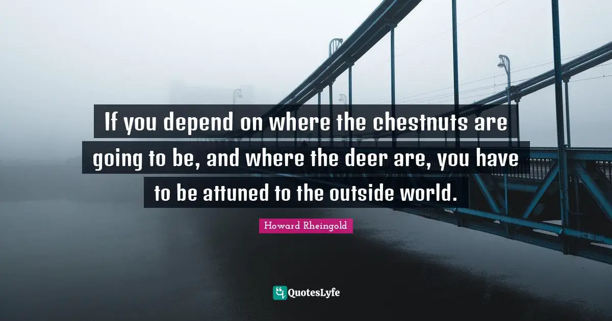 Chestnuts Quotes: "If you depend on where the chestnuts are going to be, and where the deer are, you have to be attuned to the outside world."