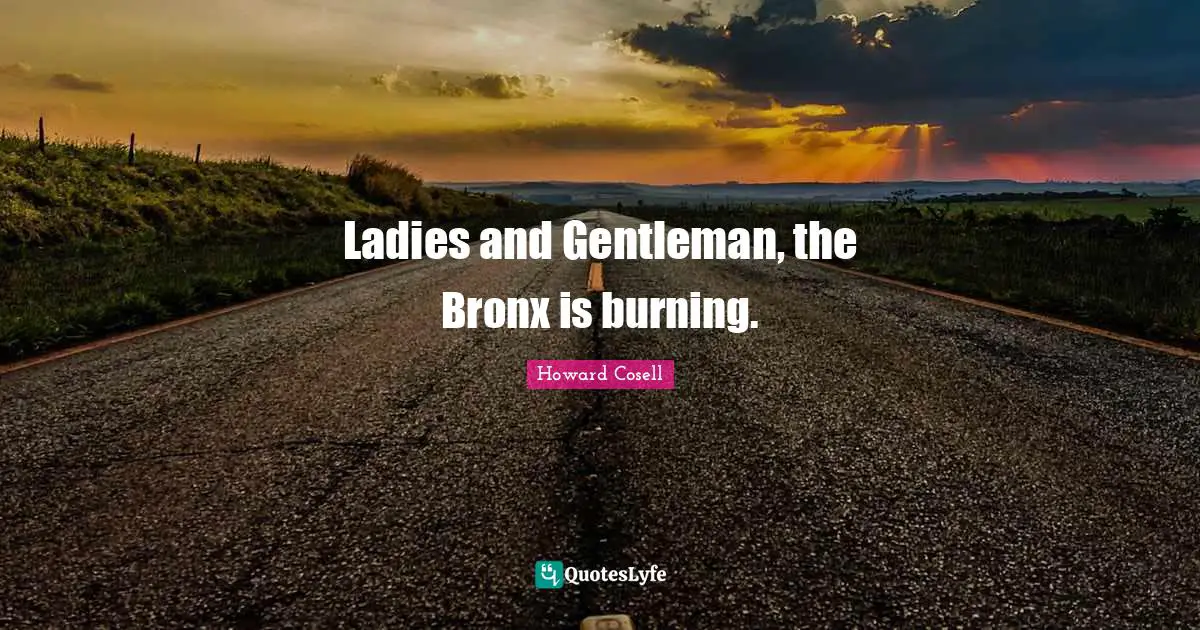 Bronx Quotes: "Ladies and Gentleman, the Bronx is burning."