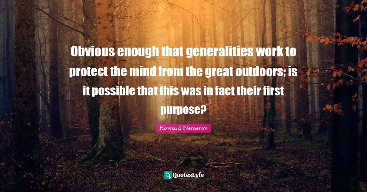 Obvious enough that generalities work to protect the mind from the great outdoors; is it possible that this was in fact their first purpose?