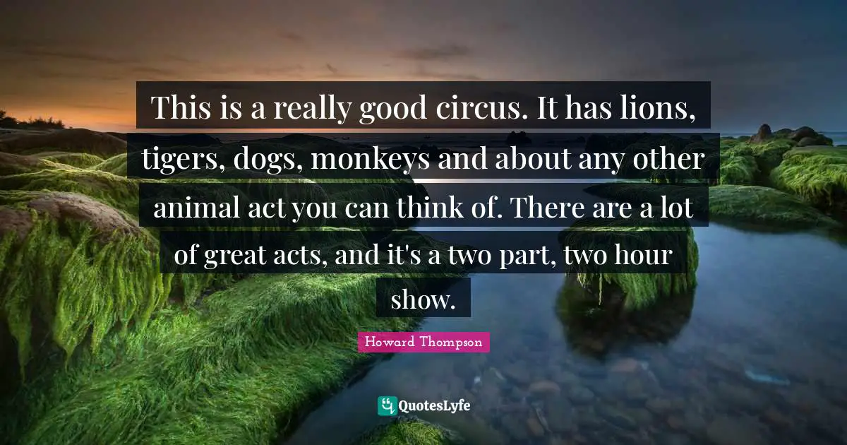 This is a really good circus. It has lions, tigers, dogs, monkeys and about any other animal act you can think of. There are a lot of great acts, and it's a two part, two hour show.