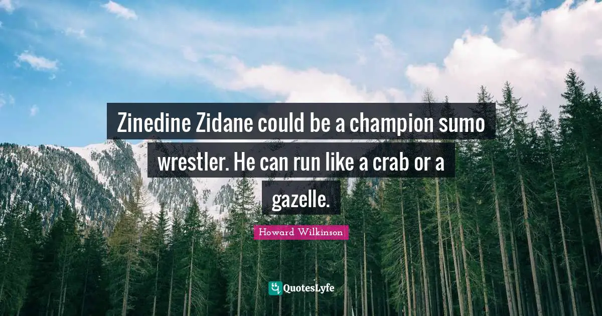 Zinedine Zidane could be a champion sumo wrestler. He can run like a crab or a gazelle.