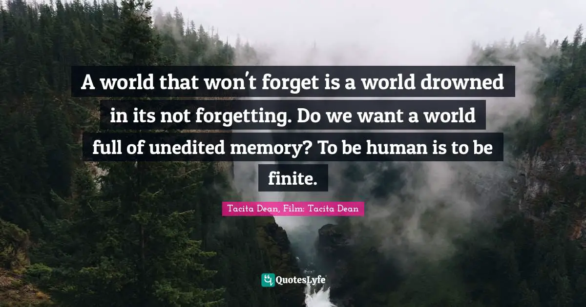 A world that won't forget is a world drowned in its not forgetting. Do we want a world full of unedited memory? To be human is to be finite.