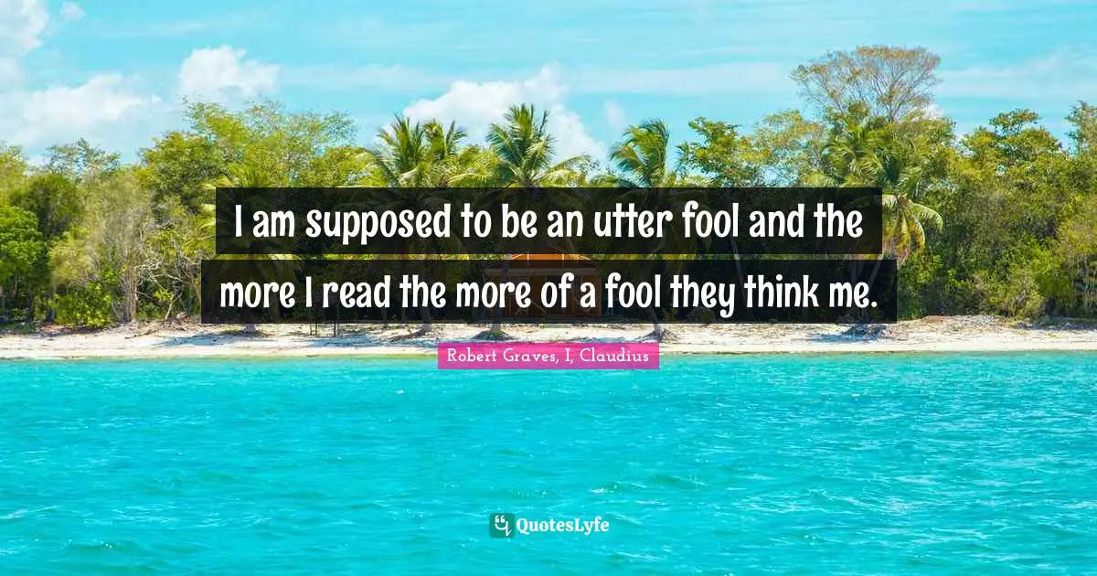 I am supposed to be an utter fool and the more I read the more of a fool they think me.