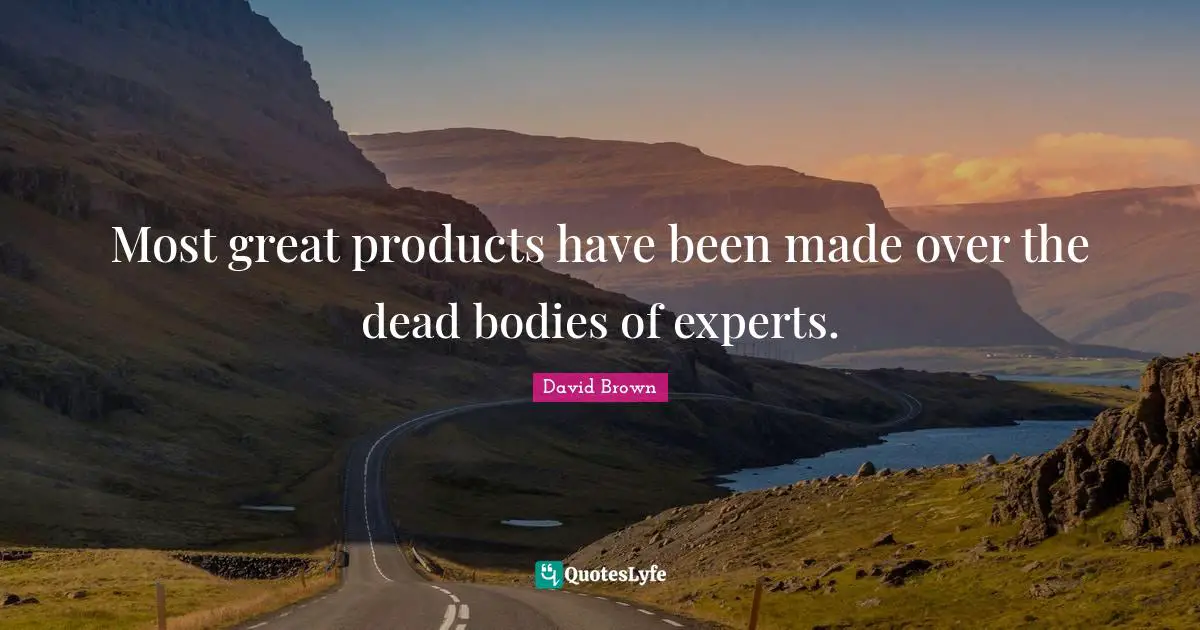 Most great products have been made over the dead bodies of experts.