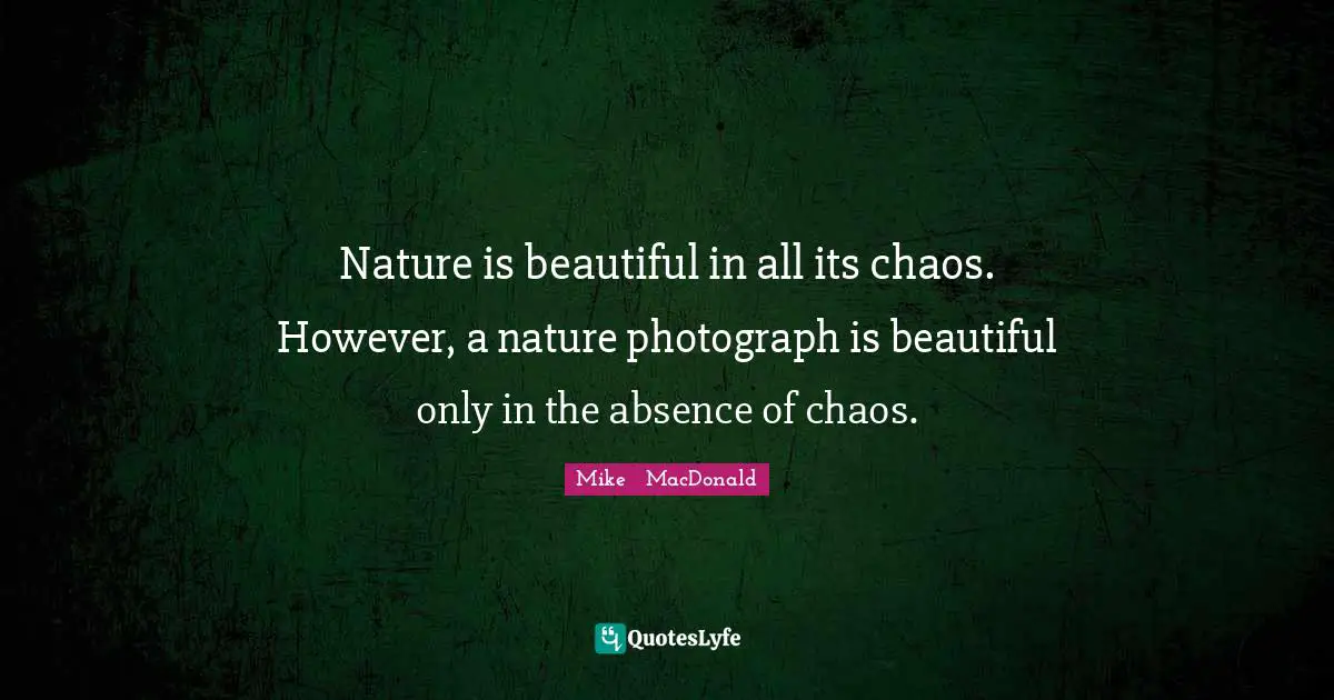 Nature is beautiful in all its chaos. However, a nature photograph is beautiful only in the absence of chaos.