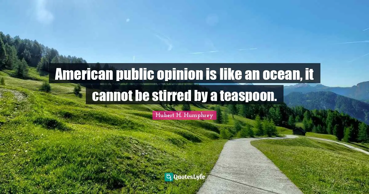 American public opinion is like an ocean, it cannot be stirred by a teaspoon.
