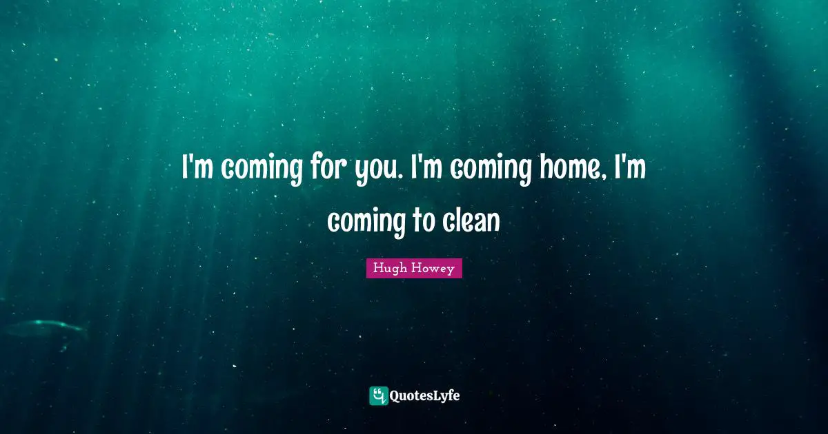 I'm coming for you. I'm coming home, I'm coming to clean