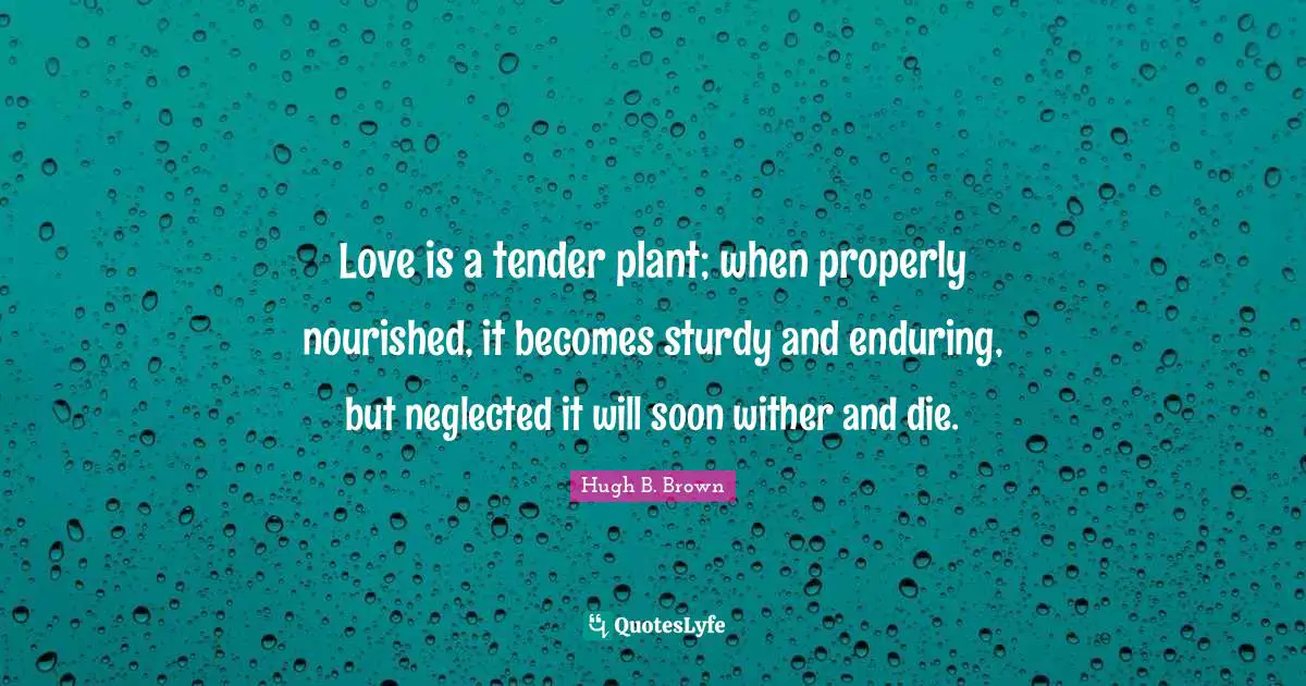 Love is a tender plant; when properly nourished, it becomes sturdy and enduring, but neglected it will soon wither and die.