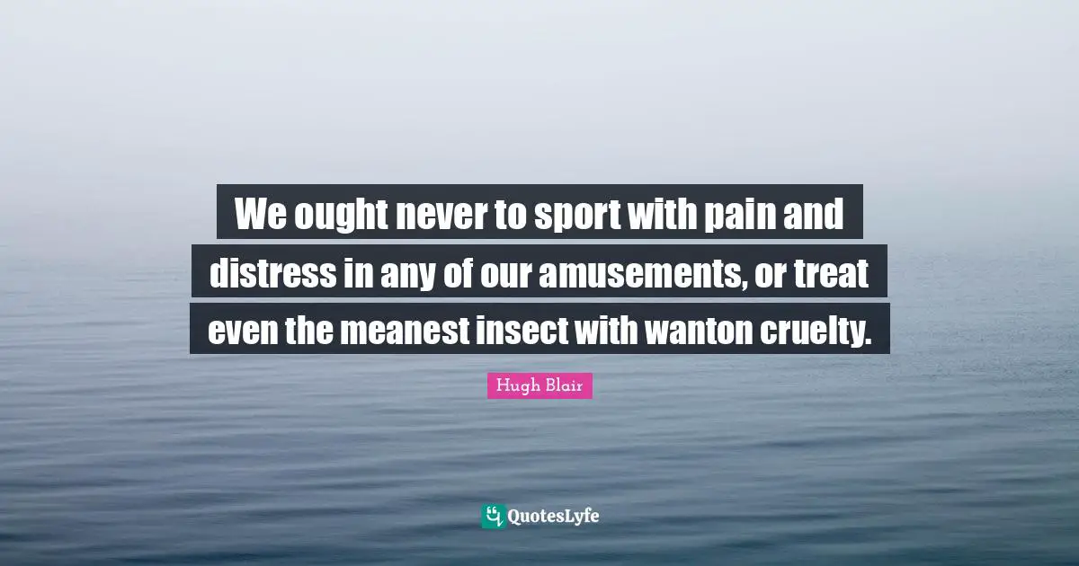 We ought never to sport with pain and distress in any of our amusements, or treat even the meanest insect with wanton cruelty.