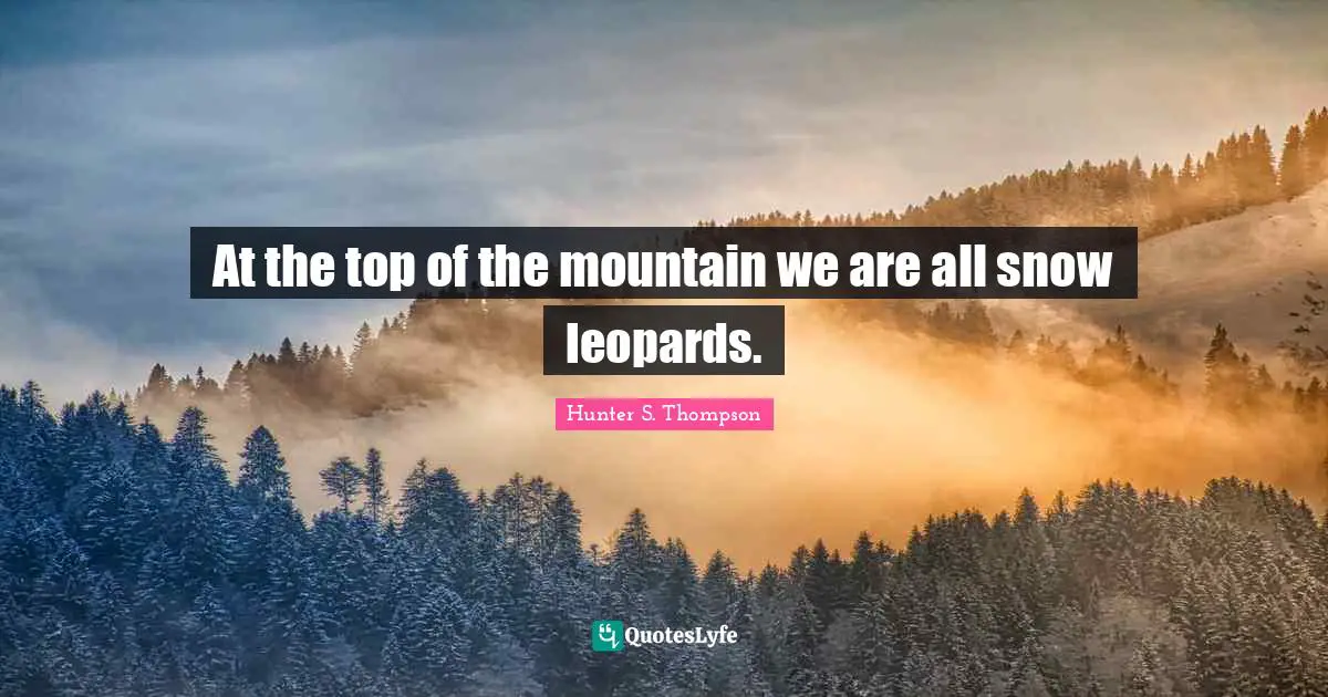 Leopards Quotes: "At the top of the mountain we are all snow leopards."