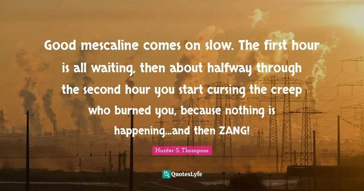 Good mescaline comes on slow. The first hour is all waiting, then about halfway through the second hour you start cursing the creep who burned you, because nothing is happening...and then ZANG!