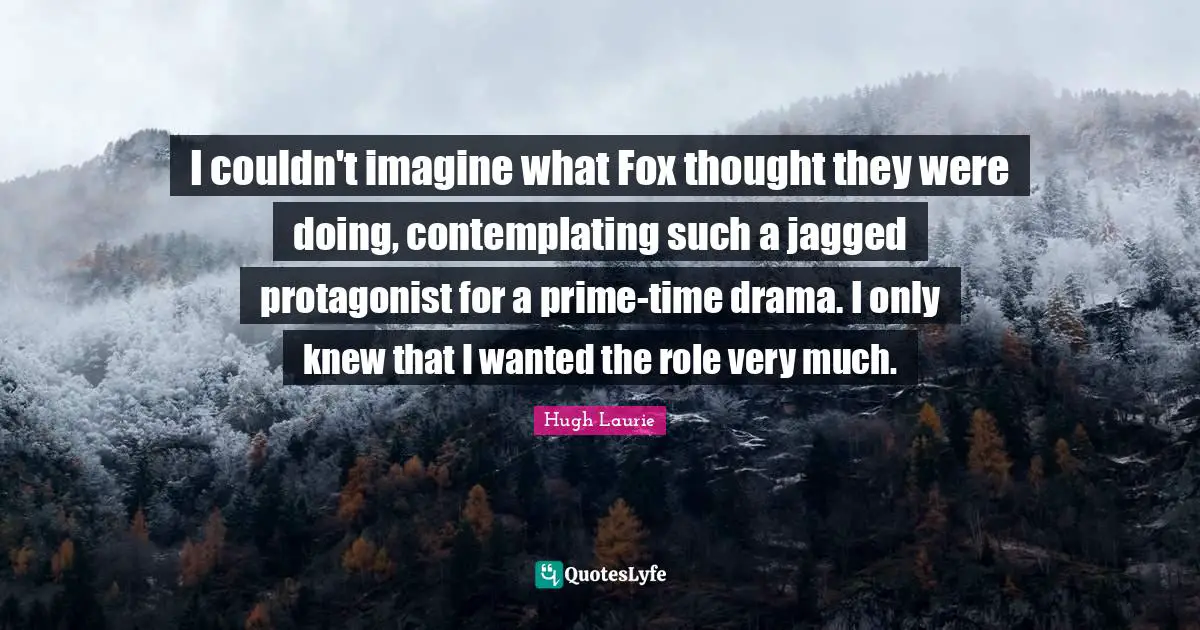 Hugh Laurie Quotes: "I couldn't imagine what Fox thought they were doing, contemplating such a jagged protagonist for a prime-time drama. I only knew that I wanted the role very much."