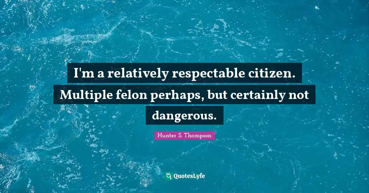 Respectable Quotes: "I'm a relatively respectable citizen. Multiple felon perhaps, but certainly not dangerous."