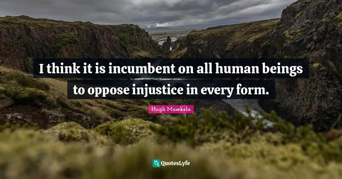 I think it is incumbent on all human beings to oppose injustice in every form.