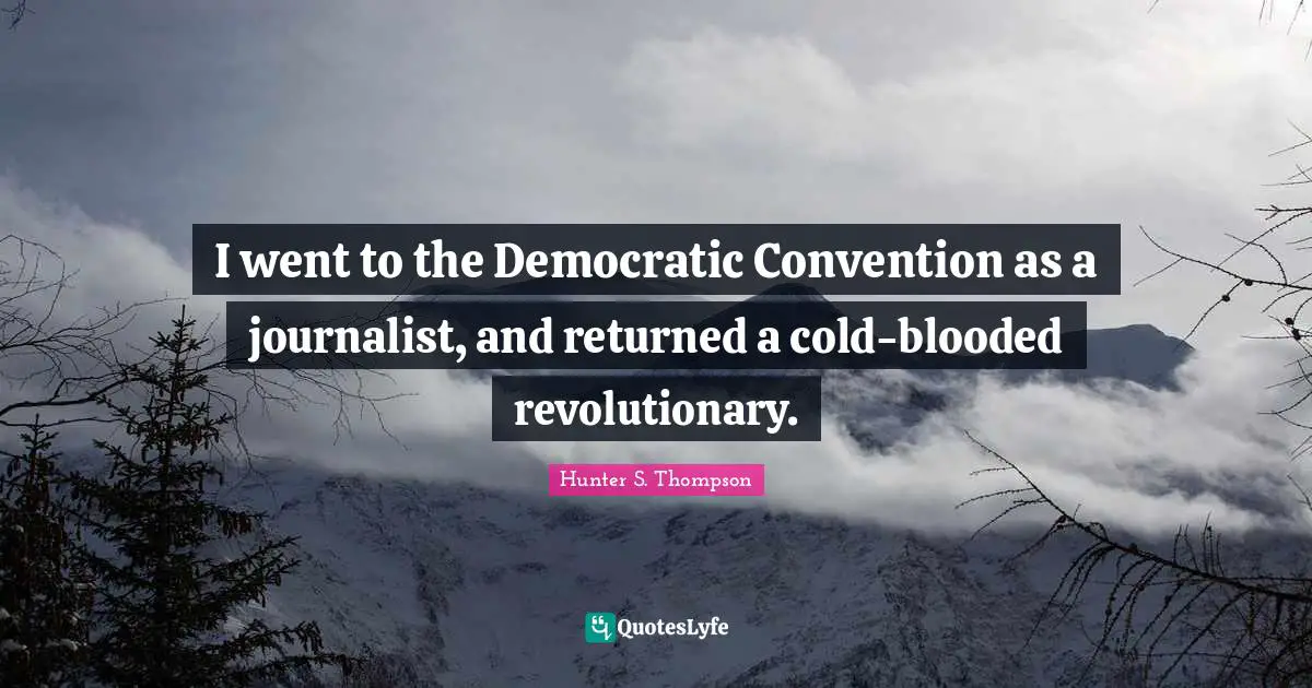 I went to the Democratic Convention as a journalist, and returned a cold-blooded revolutionary.