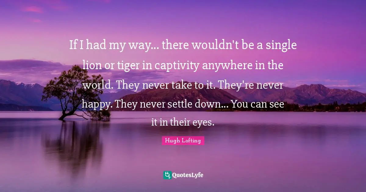 If I had my way... there wouldn't be a single lion or tiger in captivity anywhere in the world. They never take to it. They're never happy. They never settle down... You can see it in their eyes.