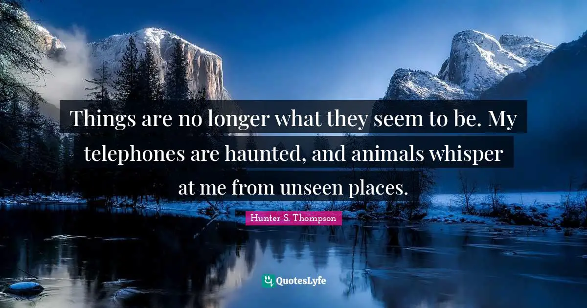 Things are no longer what they seem to be. My telephones are haunted, and animals whisper at me from unseen places.