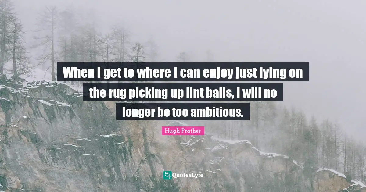 When I get to where I can enjoy just lying on the rug picking up lint balls, I will no longer be too ambitious.