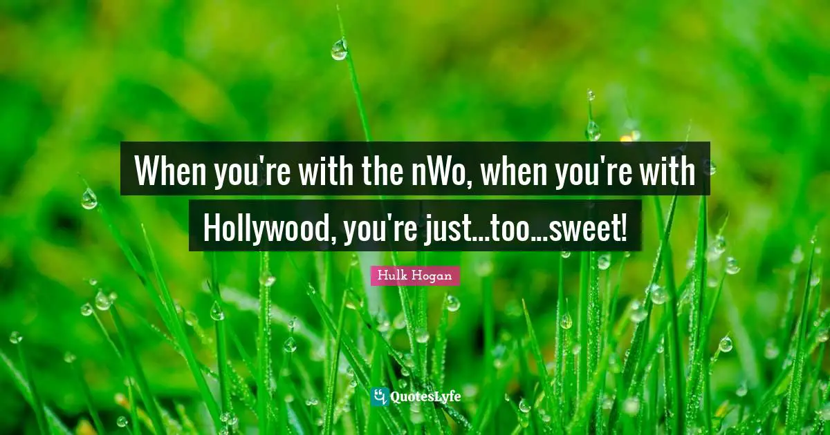 When you're with the nWo, when you're with Hollywood, you're just...too...sweet!