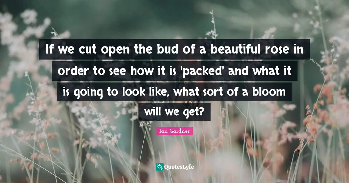 If we cut open the bud of a beautiful rose in order to see how it is 'packed' and what it is going to look like, what sort of a bloom will we get?