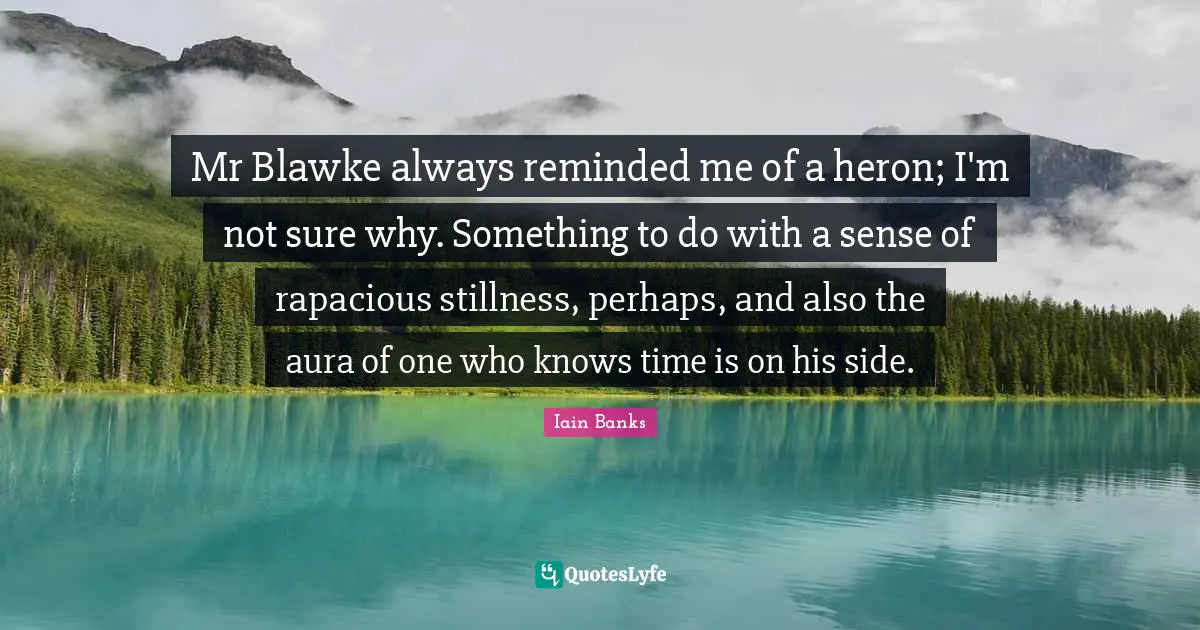 Iain Banks Quotes: "Mr Blawke always reminded me of a heron; I'm not sure why. Something to do with a sense of rapacious stillness, perhaps, and also the aura of one who knows time is on his side."