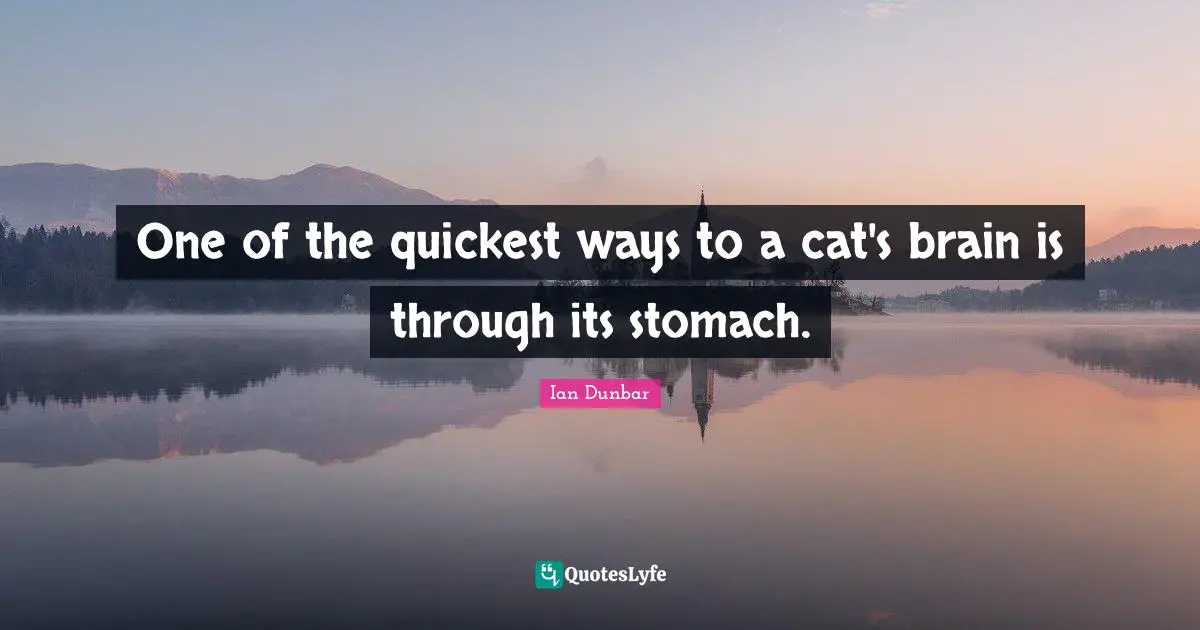 Ian Dunbar Quotes: "One of the quickest ways to a cat's brain is through its stomach."