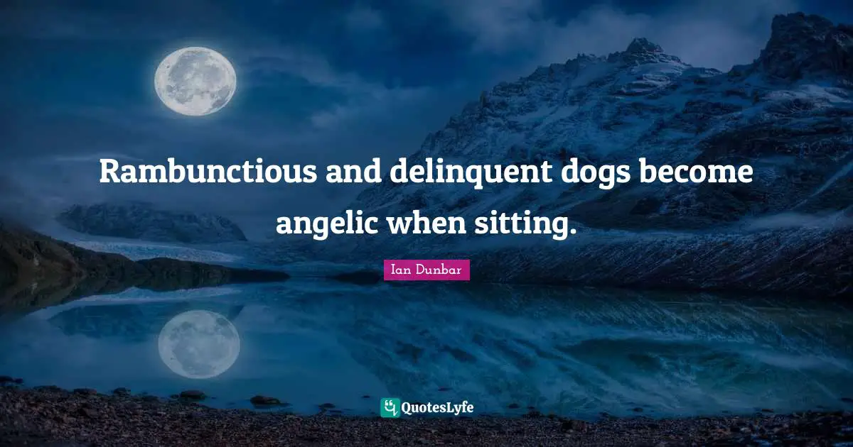Ian Dunbar Quotes: "Rambunctious and delinquent dogs become angelic when sitting."