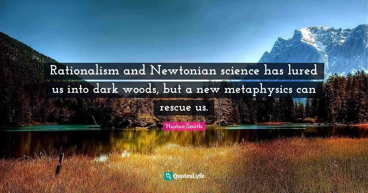 Rationalism and Newtonian science has lured us into dark woods, but a new metaphysics can rescue us.