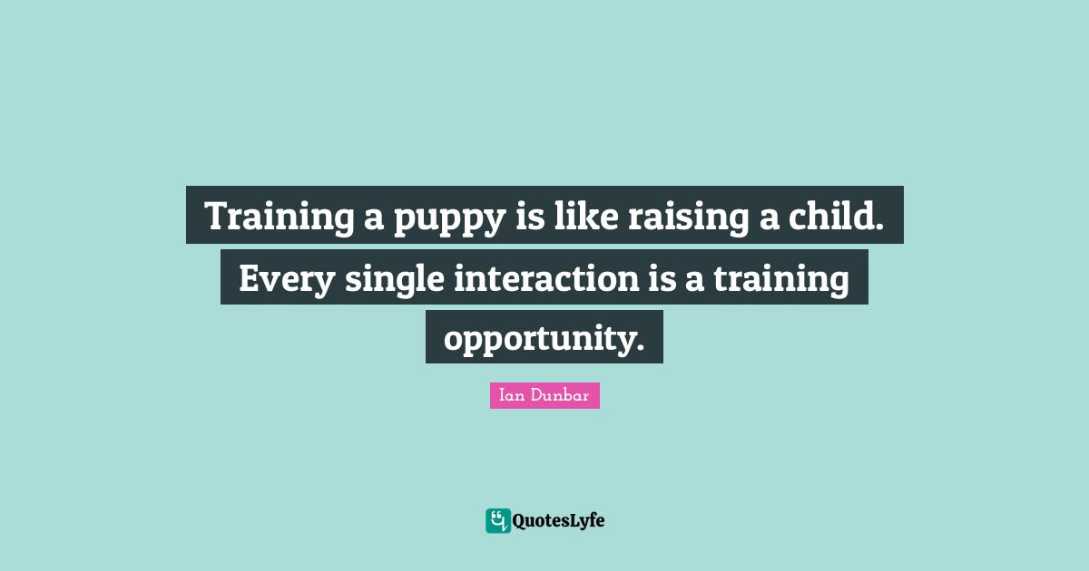 Interaction Quotes: "Training a puppy is like raising a child. Every single interaction is a training opportunity."