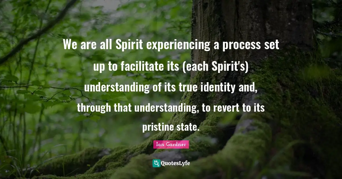 We are all Spirit experiencing a process set up to facilitate its (each Spirit's) understanding of its true identity and, through that understanding, to revert to its pristine state.