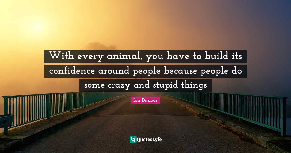 Ian Dunbar Quotes: "With every animal, you have to build its confidence around people because people do some crazy and stupid things"
