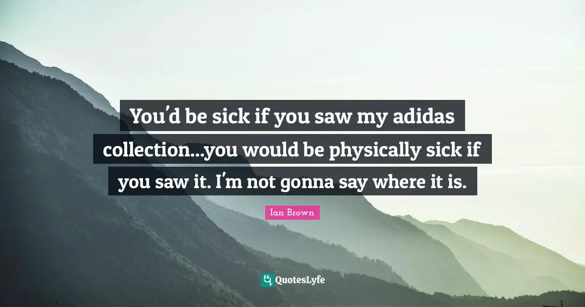 You'd be sick if you saw my adidas collection...you would be physically sick if you saw it. I'm not gonna say where it is.