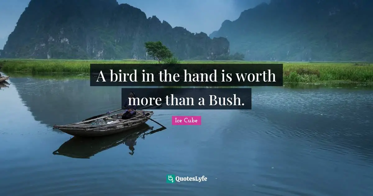 Ice Cube Quotes: "A bird in the hand is worth more than a Bush."