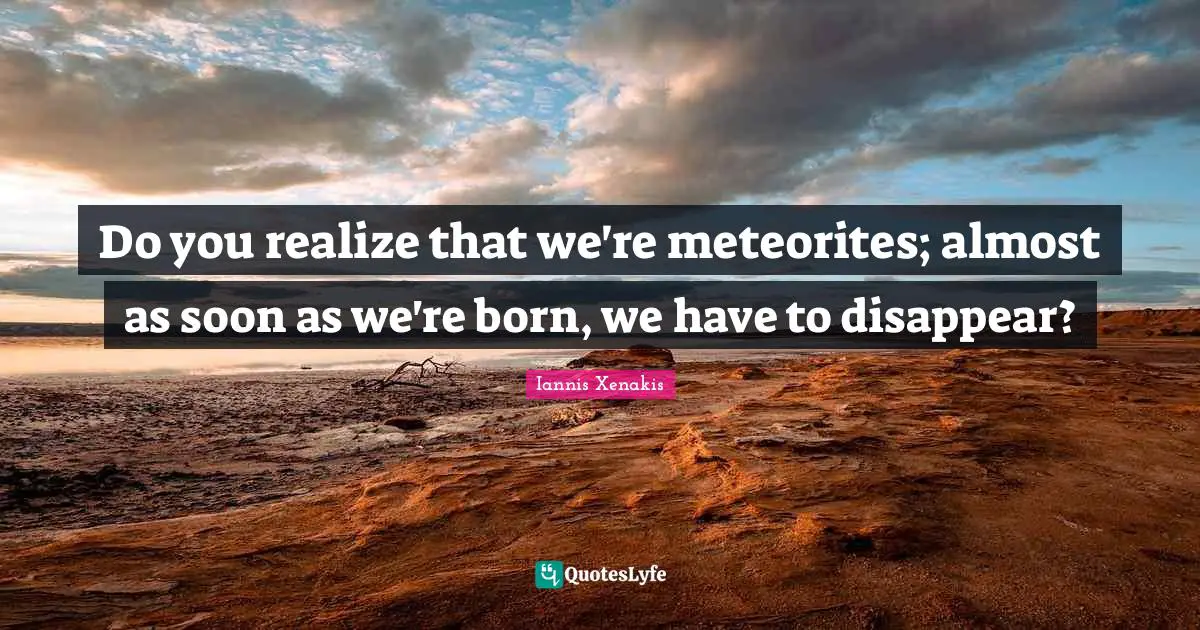 Do you realize that we're meteorites; almost as soon as we're born, we have to disappear?