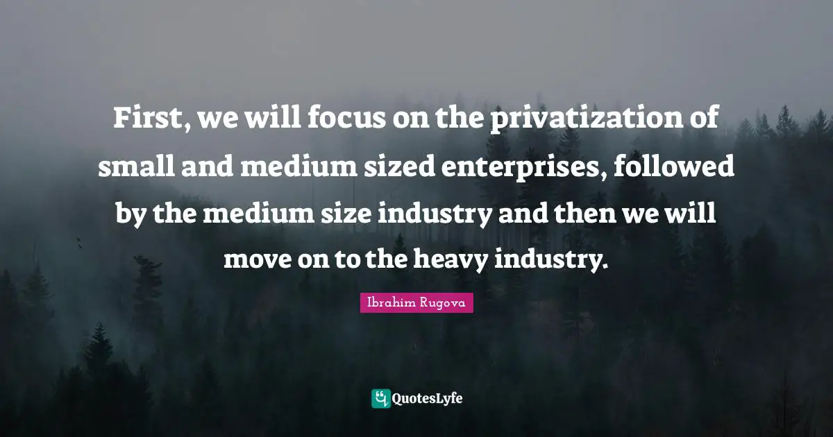 First, we will focus on the privatization of small and medium sized enterprises, followed by the medium size industry and then we will move on to the heavy industry.