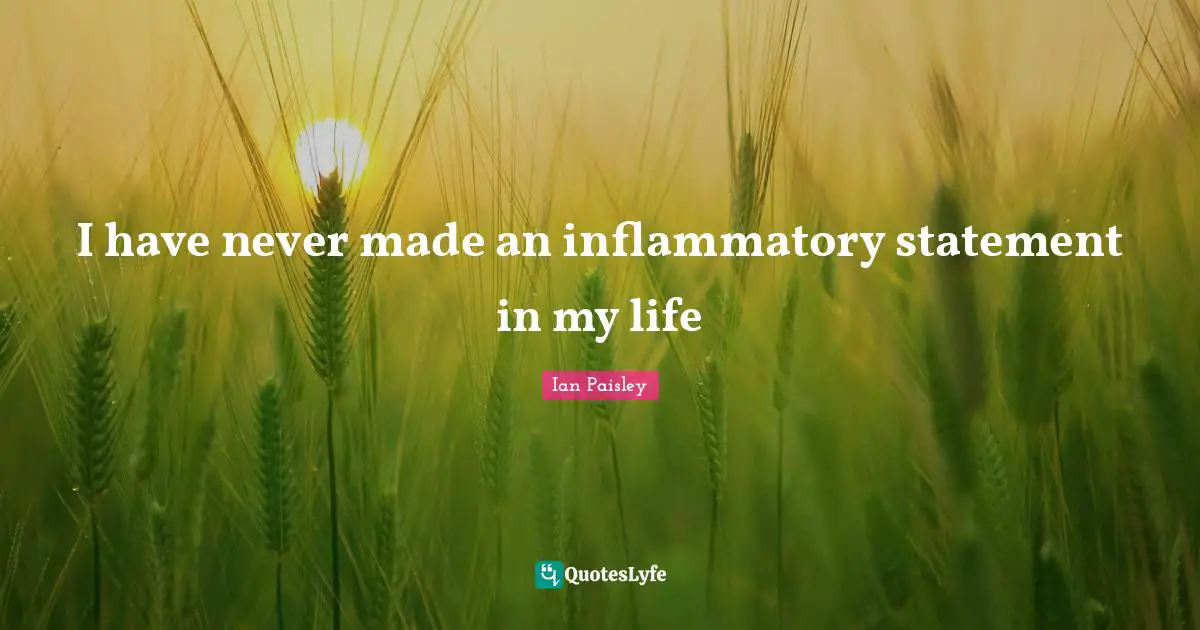 I have never made an inflammatory statement in my life