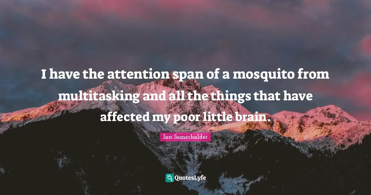 Mosquitoes Quotes: "I have the attention span of a mosquito from multitasking and all the things that have affected my poor little brain."