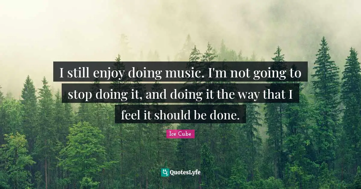 I still enjoy doing music. I'm not going to stop doing it, and doing it the way that I feel it should be done.
