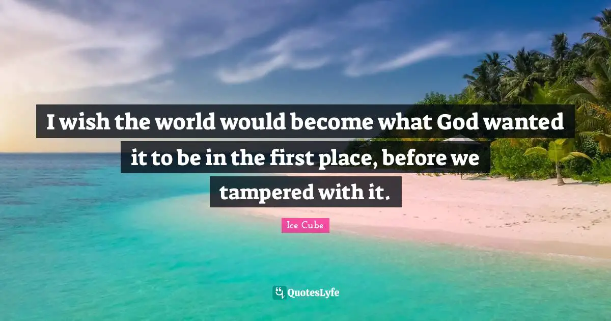 Ice Cube Quotes: "I wish the world would become what God wanted it to be in the first place, before we tampered with it."