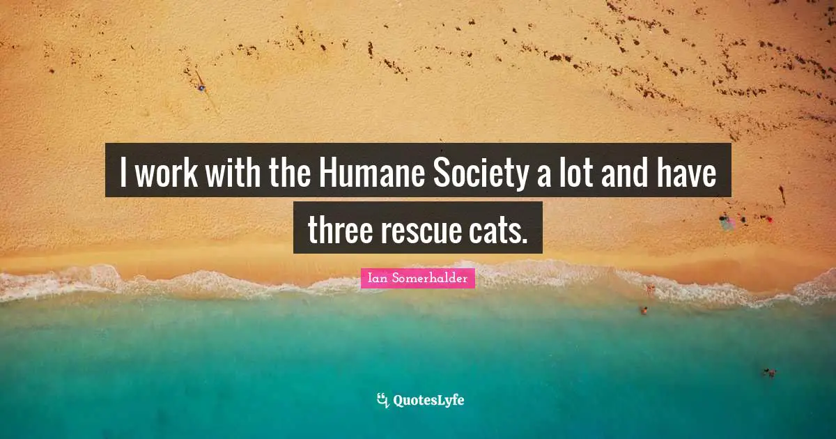 Ian Somerhalder Quotes: "I work with the Humane Society a lot and have three rescue cats."