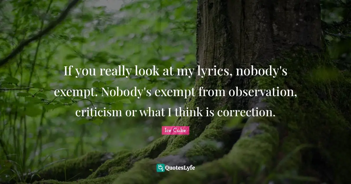 If you really look at my lyrics, nobody's exempt. Nobody's exempt from observation, criticism or what I think is correction.